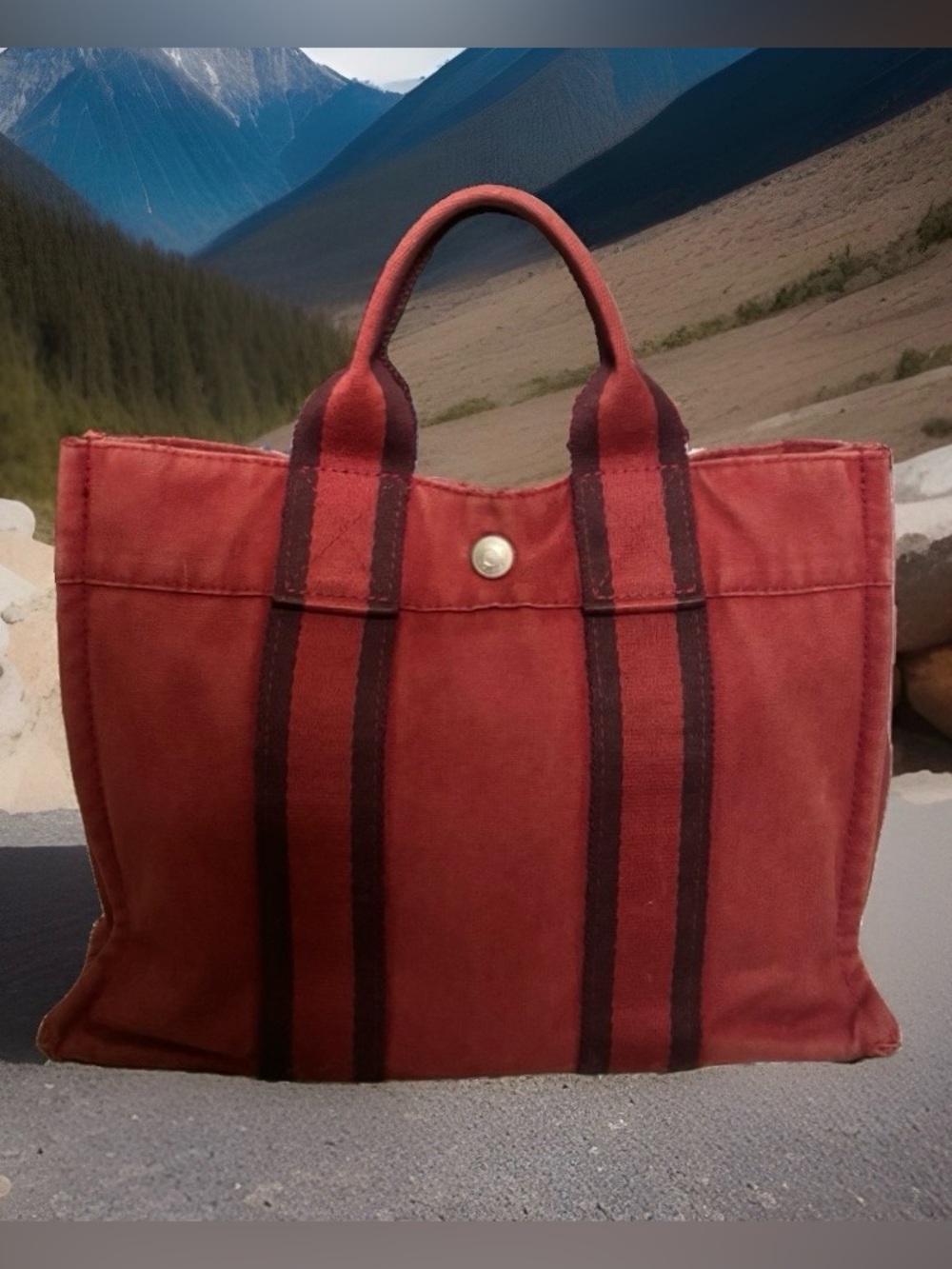 Hermes Deauville PM Red Canvas Mini Tote Bag
